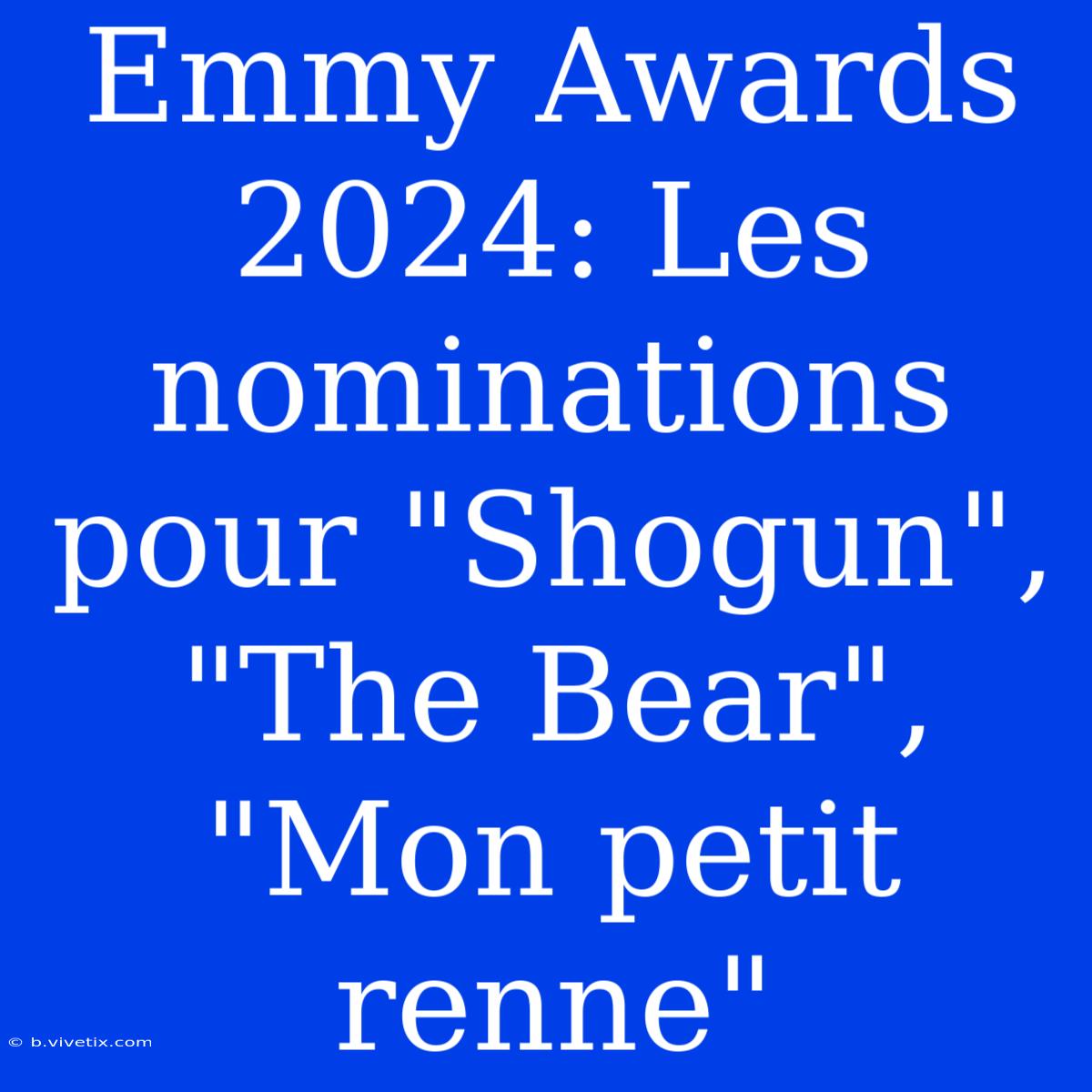 Emmy Awards 2024: Les Nominations Pour 