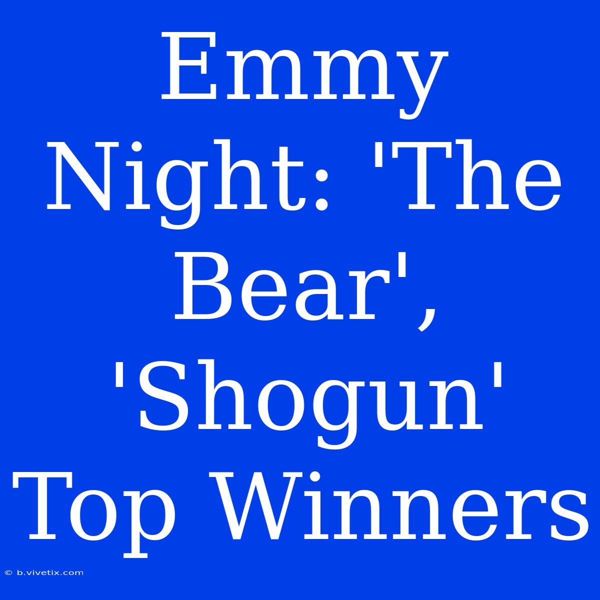 Emmy Night: 'The Bear', 'Shogun' Top Winners 