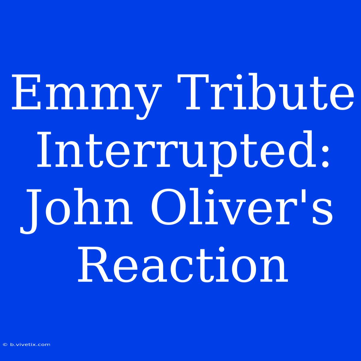 Emmy Tribute Interrupted: John Oliver's Reaction