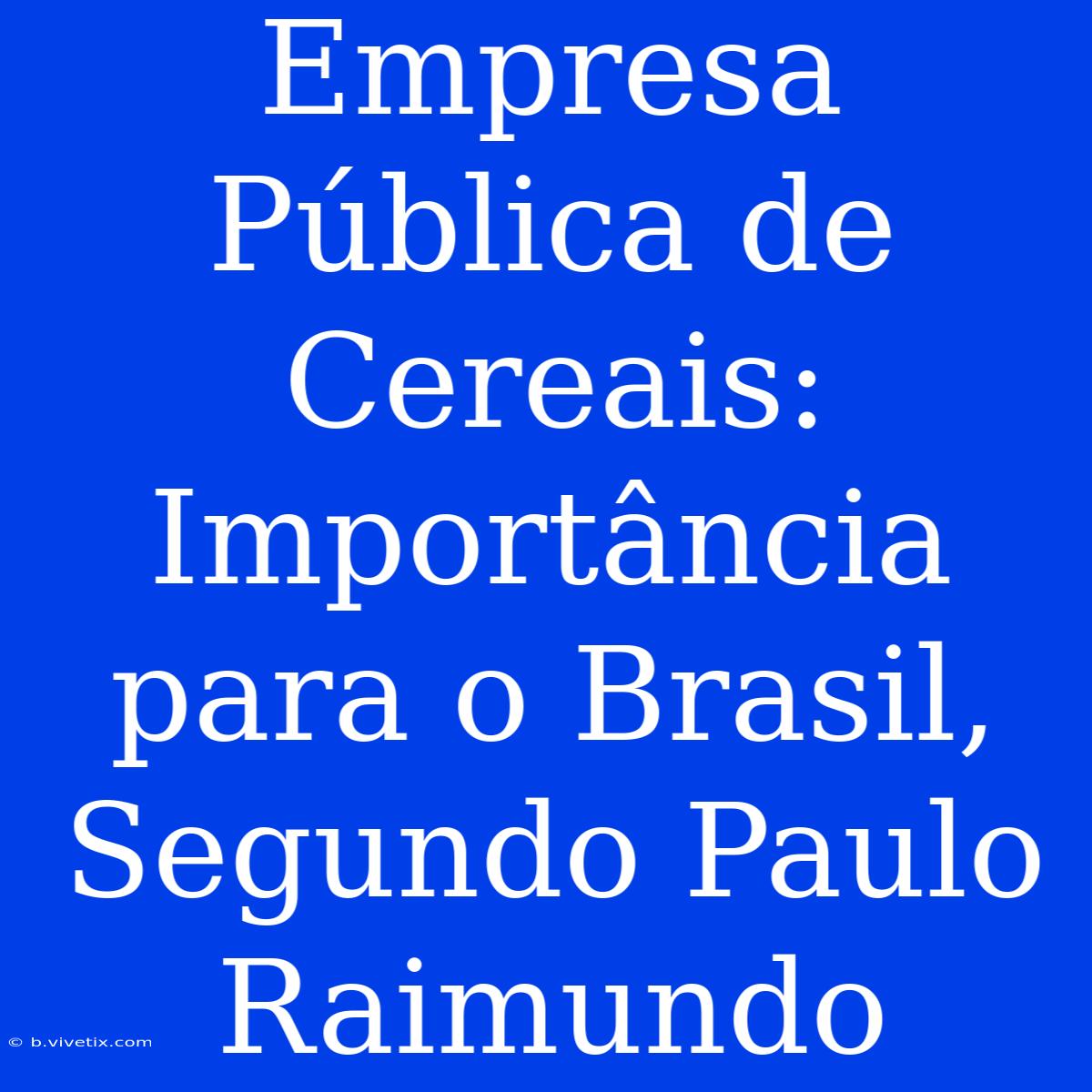 Empresa Pública De Cereais: Importância Para O Brasil, Segundo Paulo Raimundo