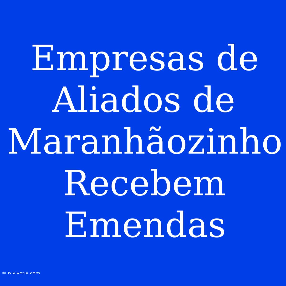 Empresas De Aliados De Maranhãozinho Recebem Emendas