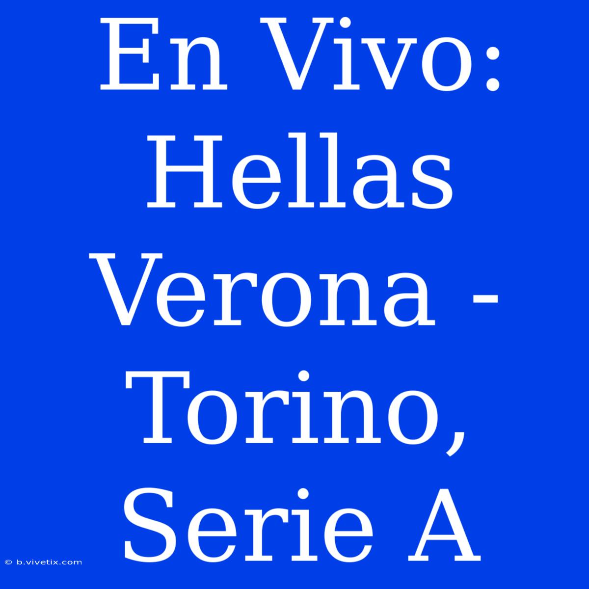 En Vivo: Hellas Verona - Torino, Serie A