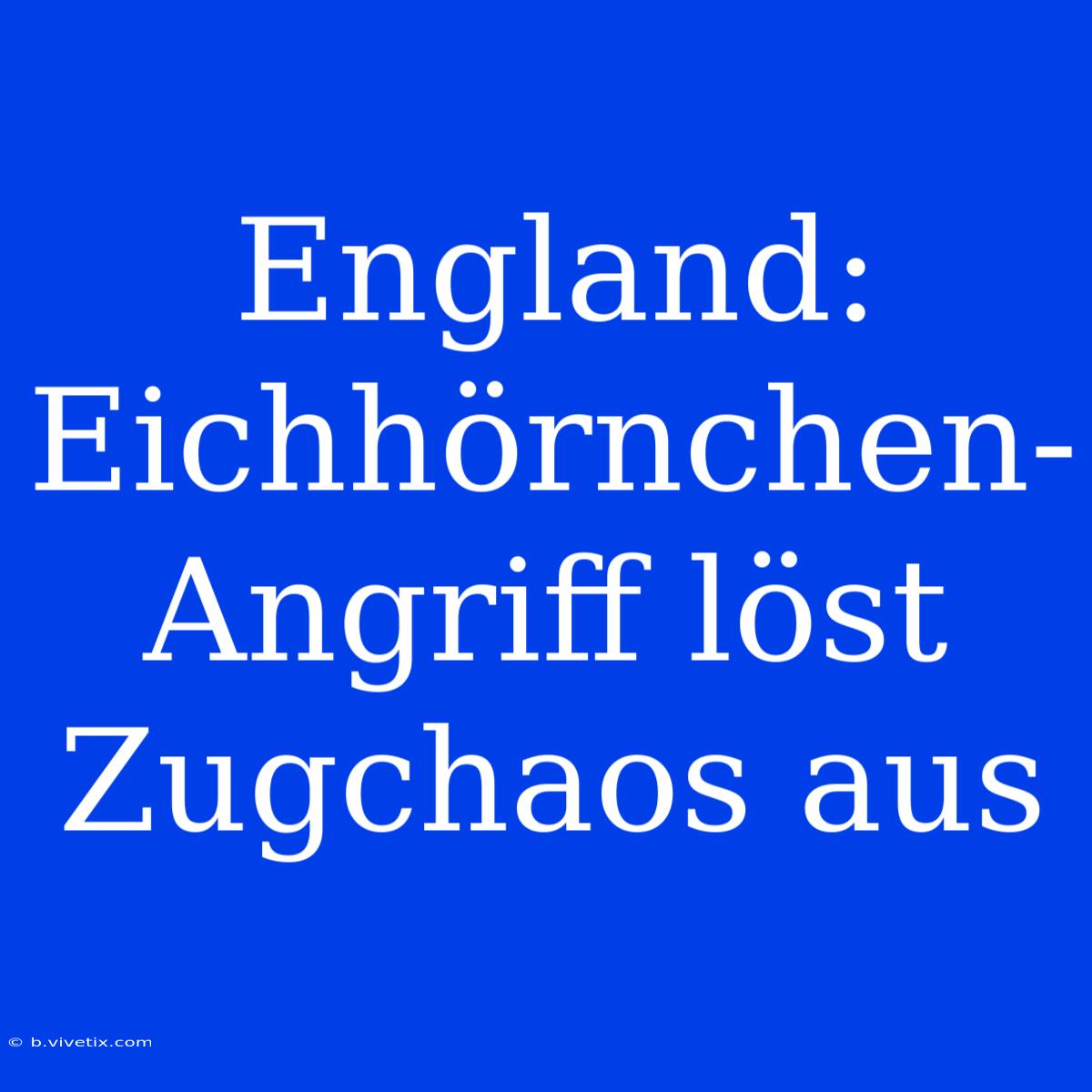 England: Eichhörnchen-Angriff Löst Zugchaos Aus 