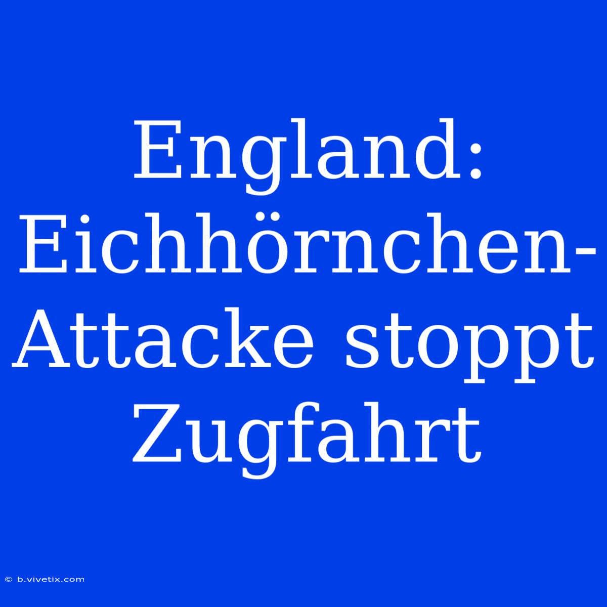 England: Eichhörnchen-Attacke Stoppt Zugfahrt