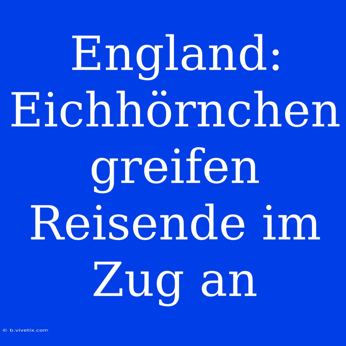 England: Eichhörnchen Greifen Reisende Im Zug An