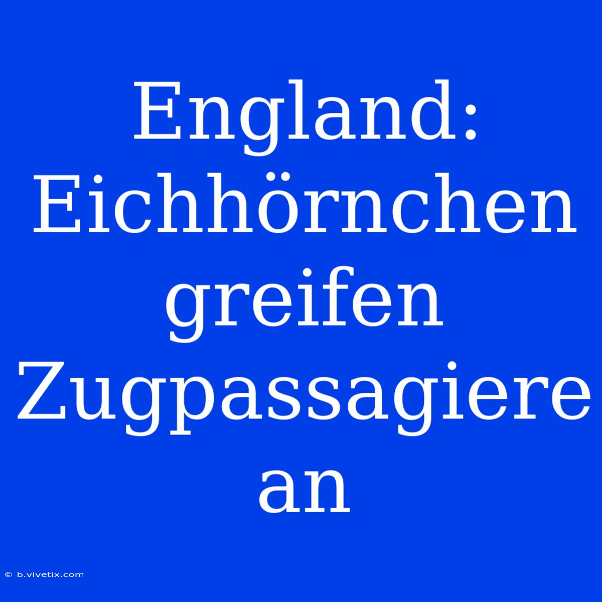 England: Eichhörnchen Greifen Zugpassagiere An