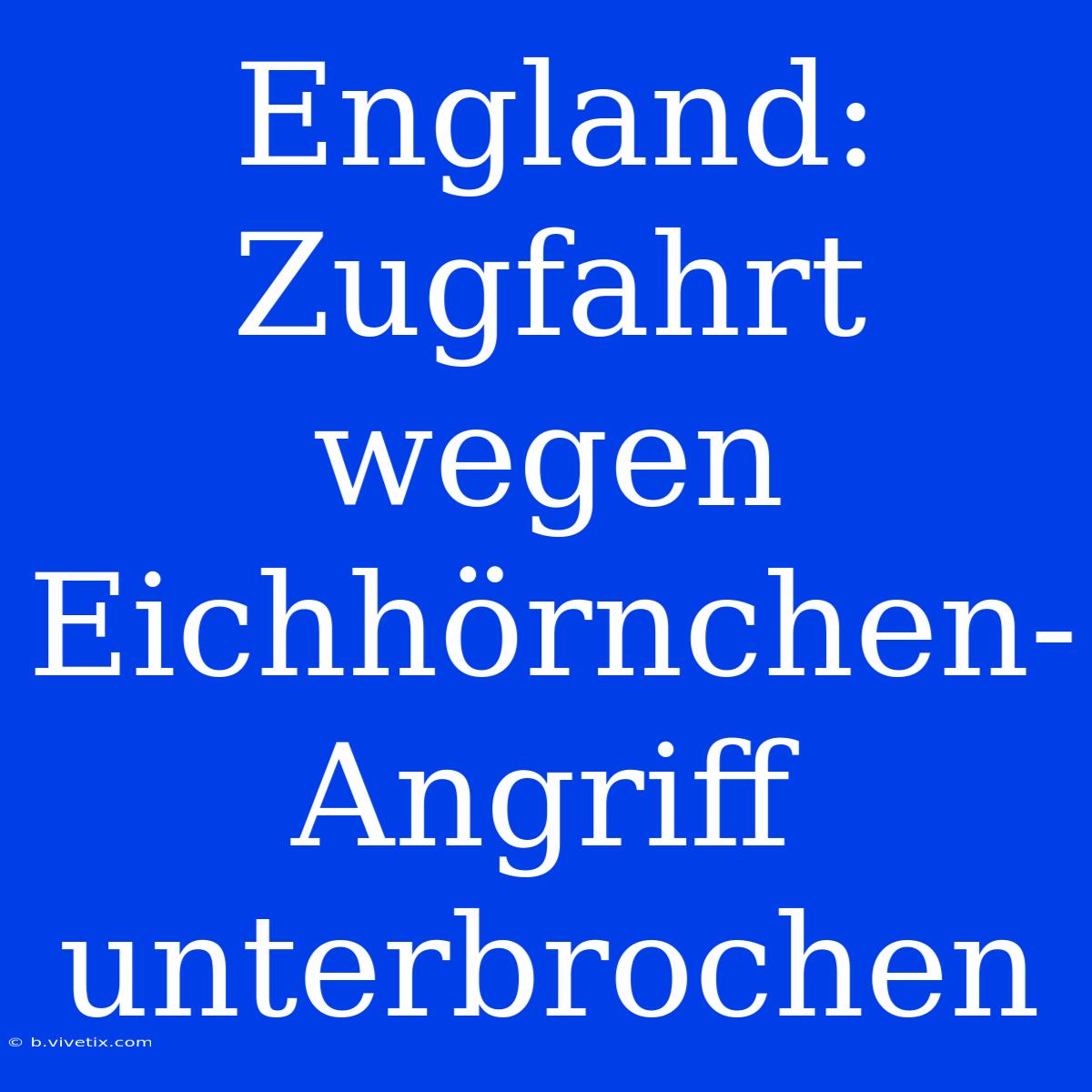 England: Zugfahrt Wegen Eichhörnchen-Angriff Unterbrochen