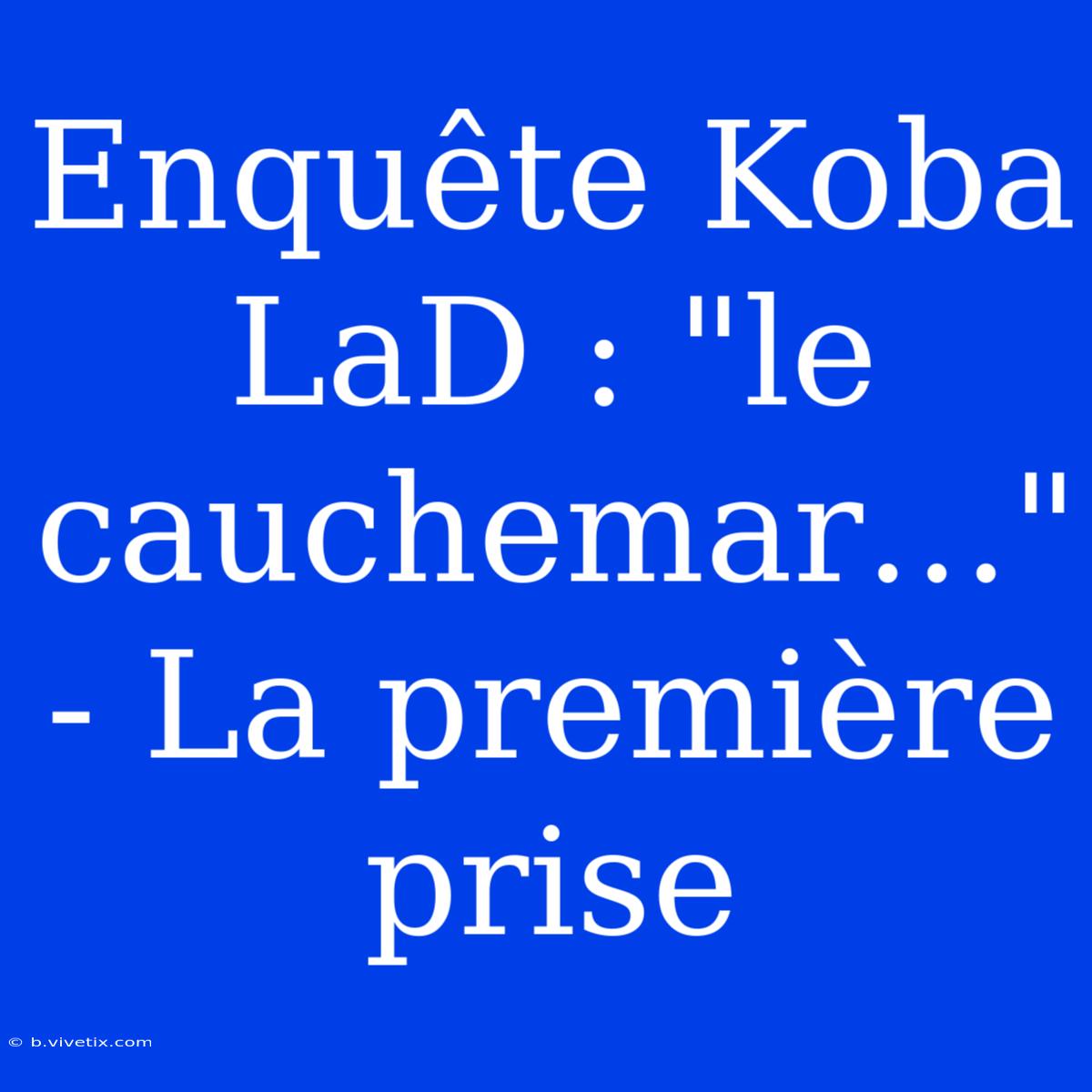 Enquête Koba LaD : 