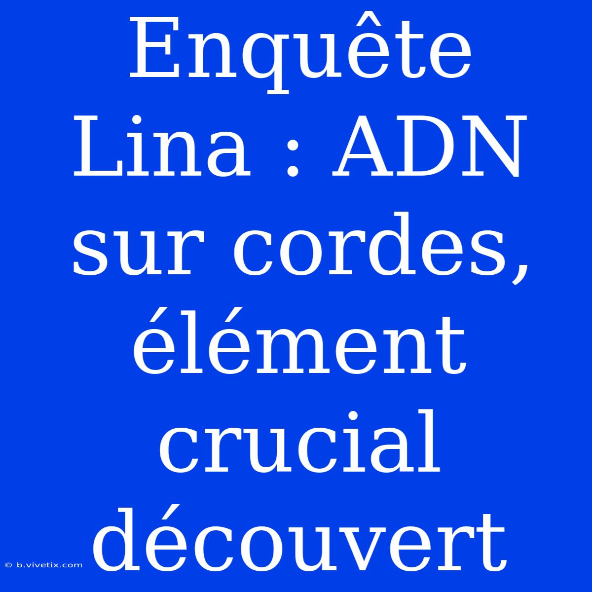 Enquête Lina : ADN Sur Cordes, Élément Crucial Découvert 