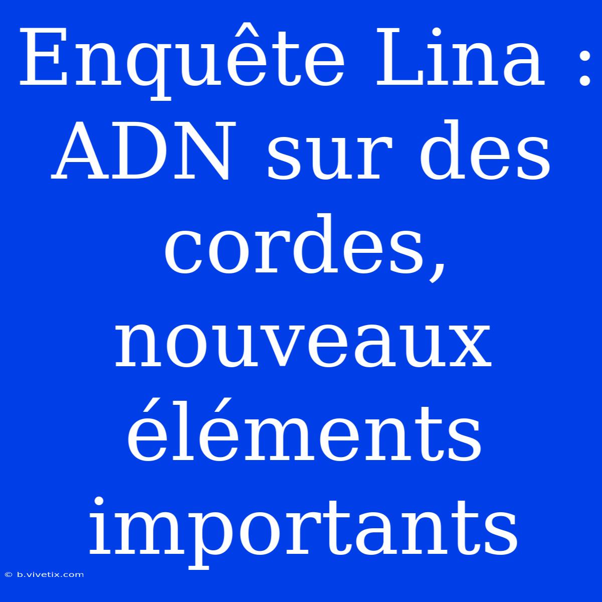 Enquête Lina : ADN Sur Des Cordes, Nouveaux Éléments Importants