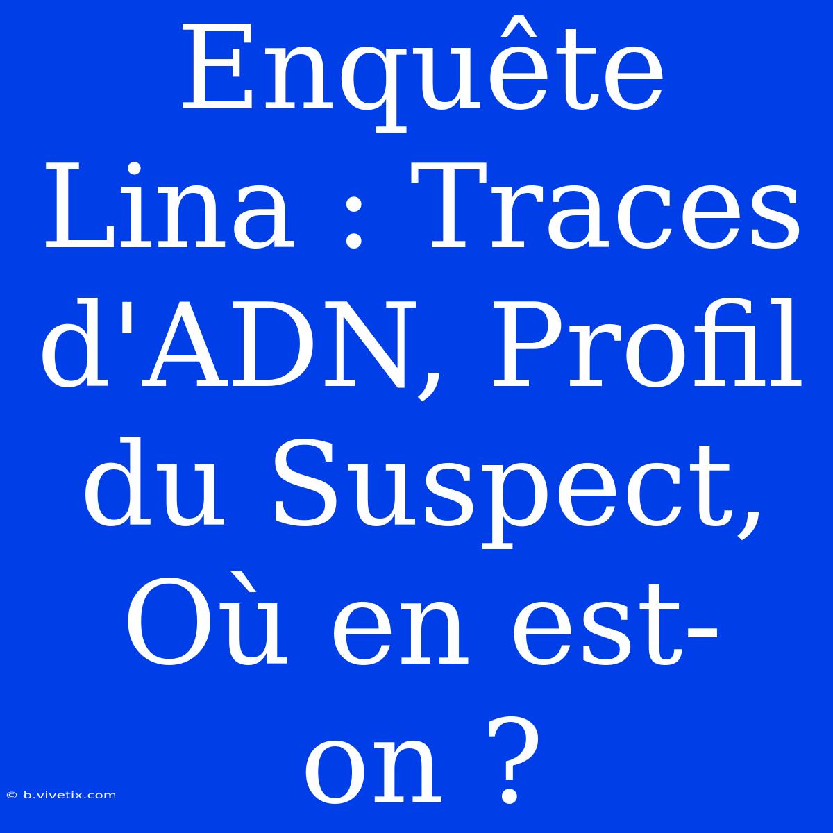 Enquête Lina : Traces D'ADN, Profil Du Suspect, Où En Est-on ?