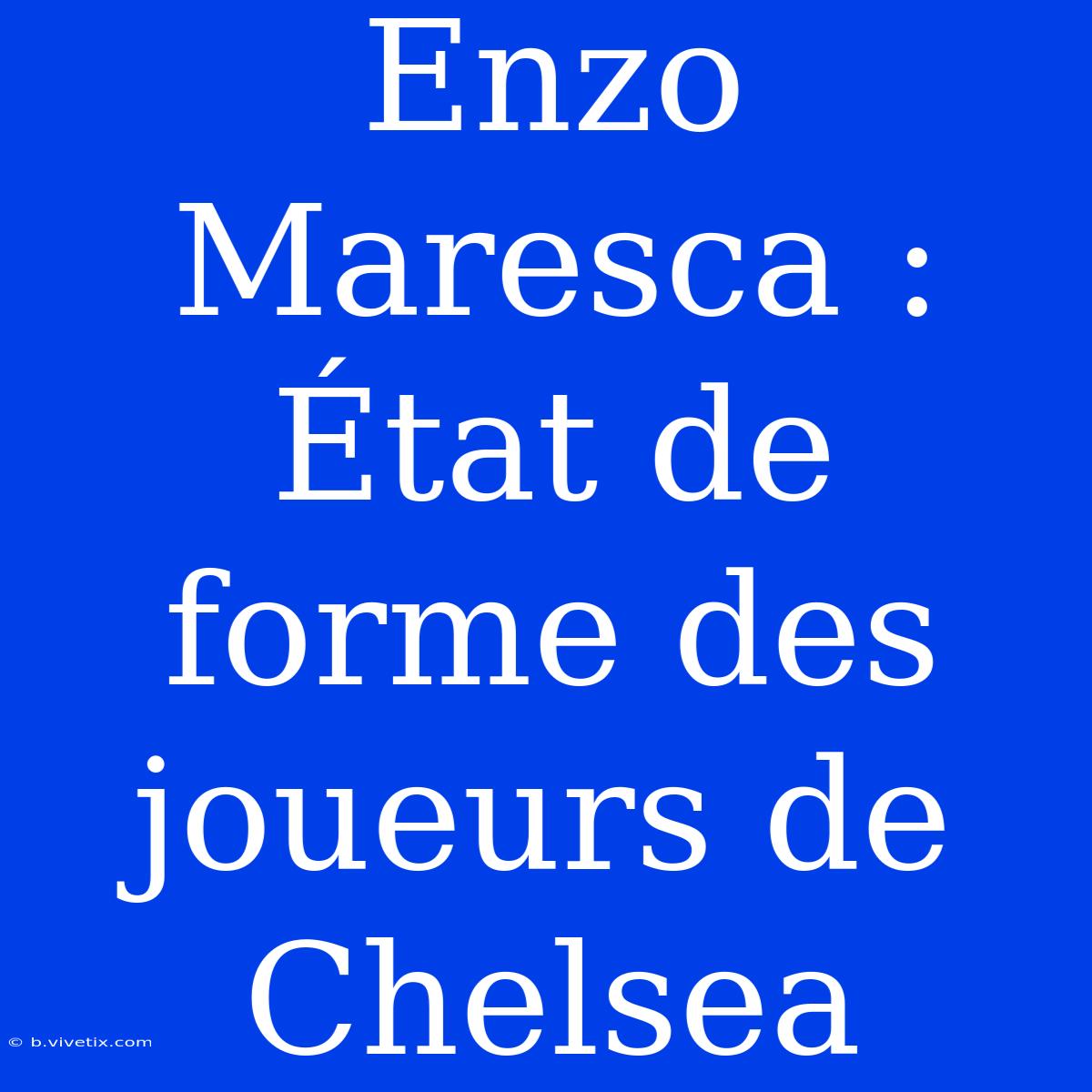 Enzo Maresca : État De Forme Des Joueurs De Chelsea