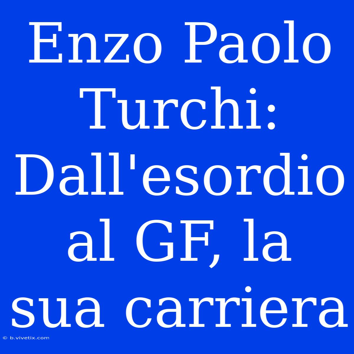 Enzo Paolo Turchi: Dall'esordio Al GF, La Sua Carriera