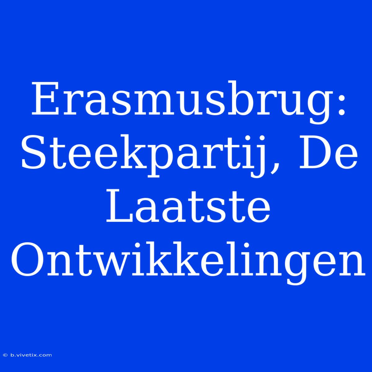 Erasmusbrug: Steekpartij, De Laatste Ontwikkelingen