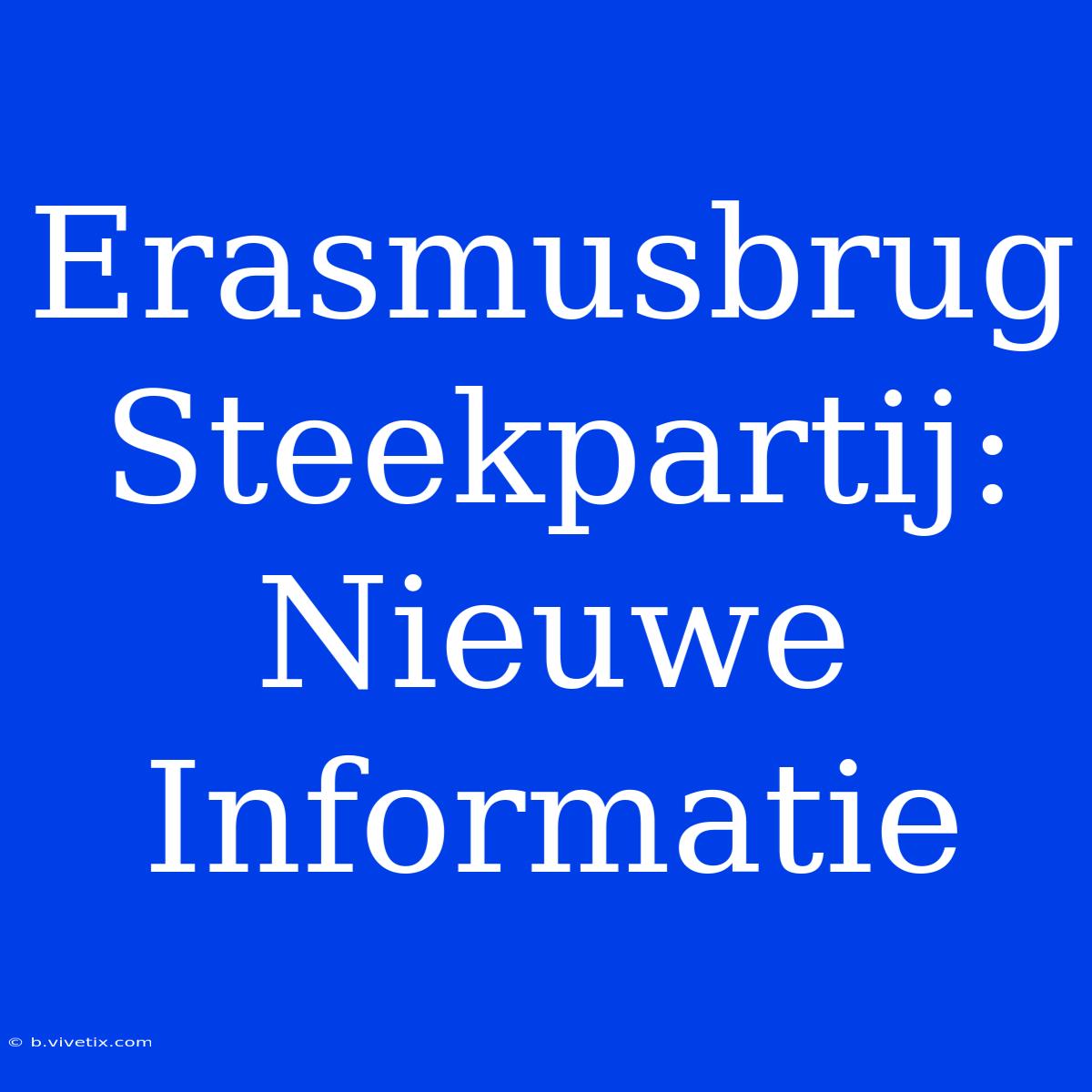 Erasmusbrug Steekpartij: Nieuwe Informatie