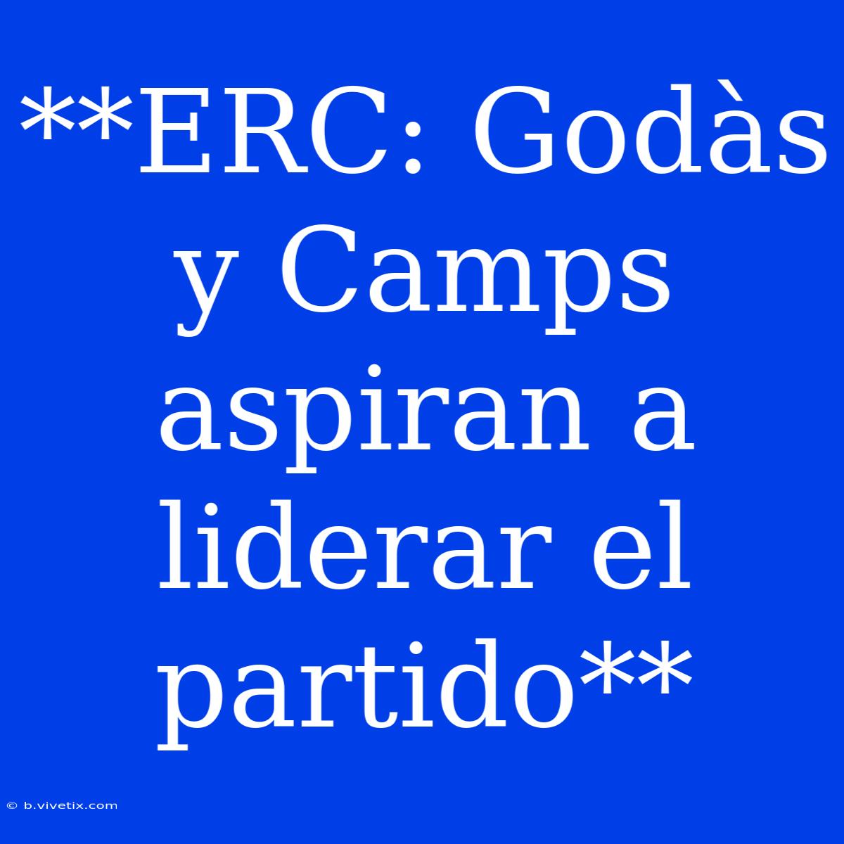 **ERC: Godàs Y Camps Aspiran A Liderar El Partido**