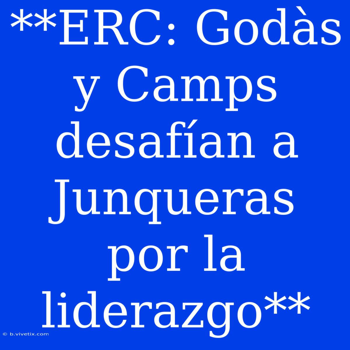 **ERC: Godàs Y Camps Desafían A Junqueras Por La  Liderazgo**