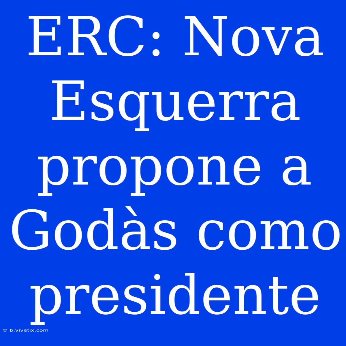 ERC: Nova Esquerra Propone A Godàs Como Presidente