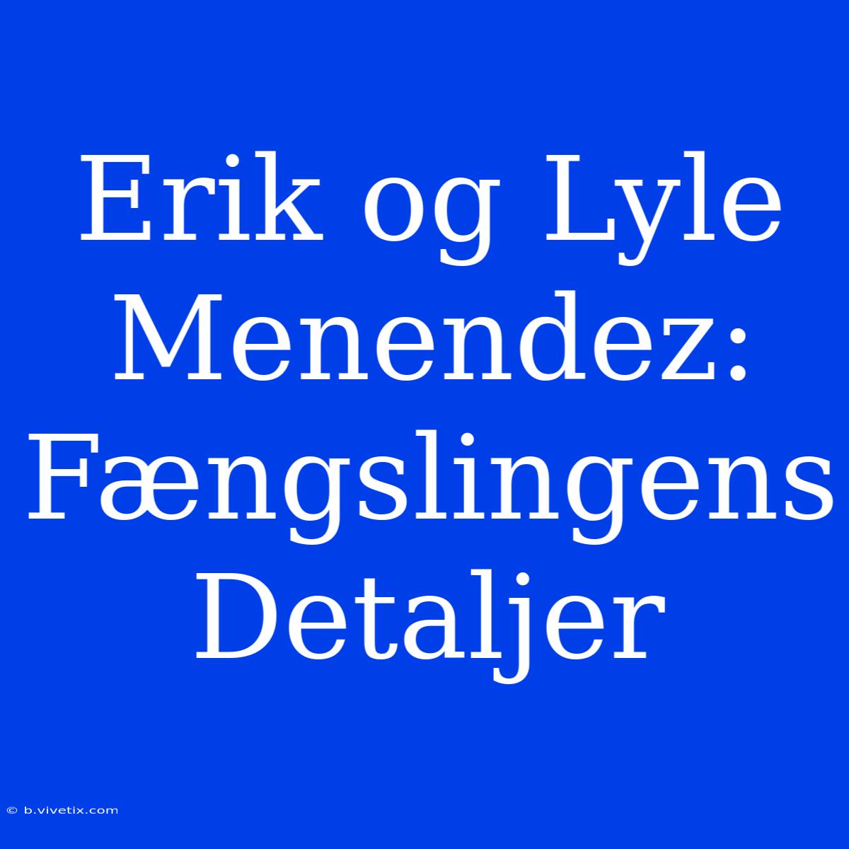 Erik Og Lyle Menendez: Fængslingens Detaljer