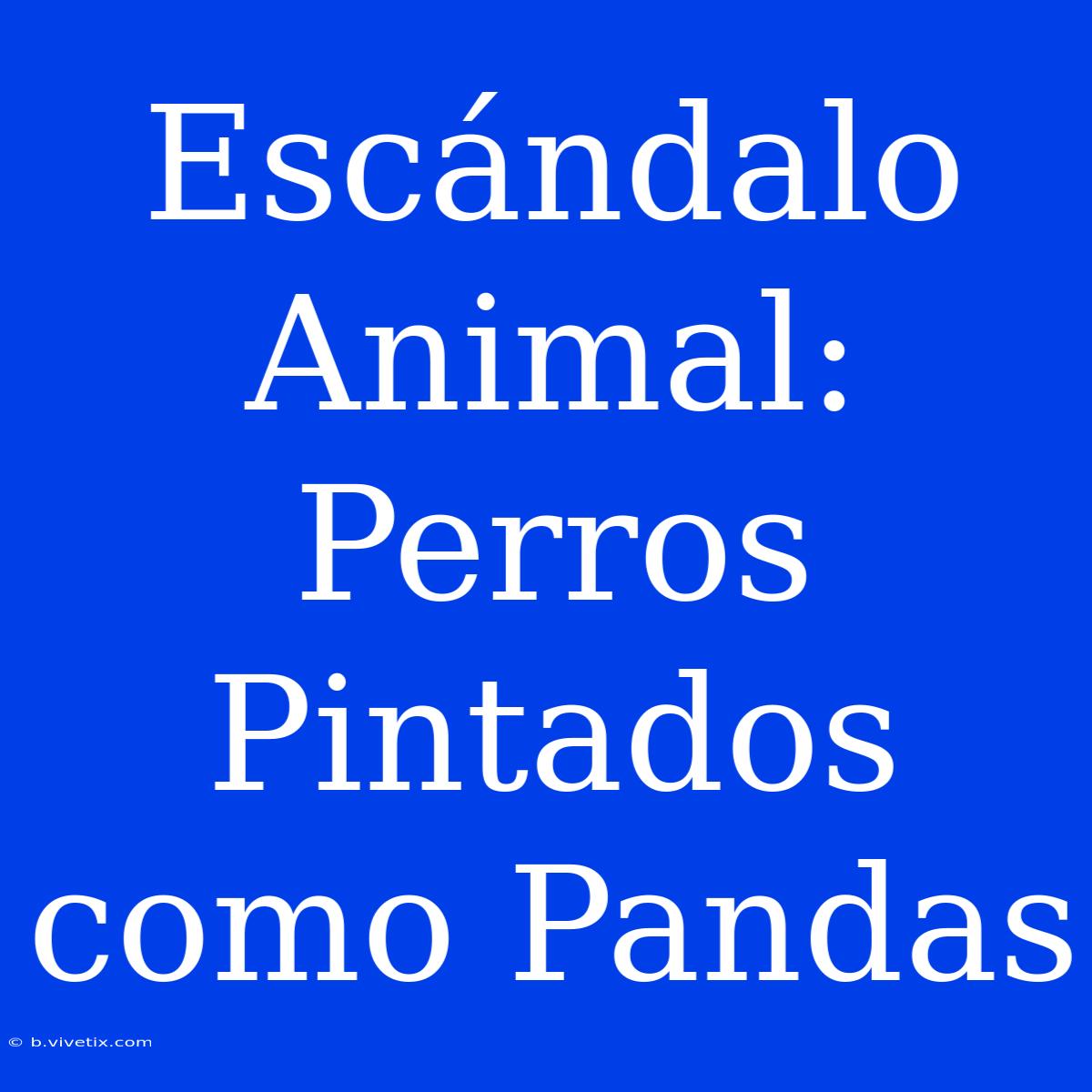 Escándalo Animal: Perros Pintados Como Pandas