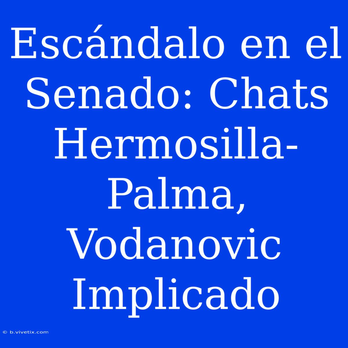 Escándalo En El Senado: Chats Hermosilla-Palma, Vodanovic Implicado 