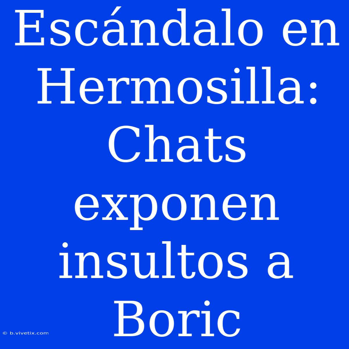 Escándalo En Hermosilla: Chats Exponen Insultos A Boric