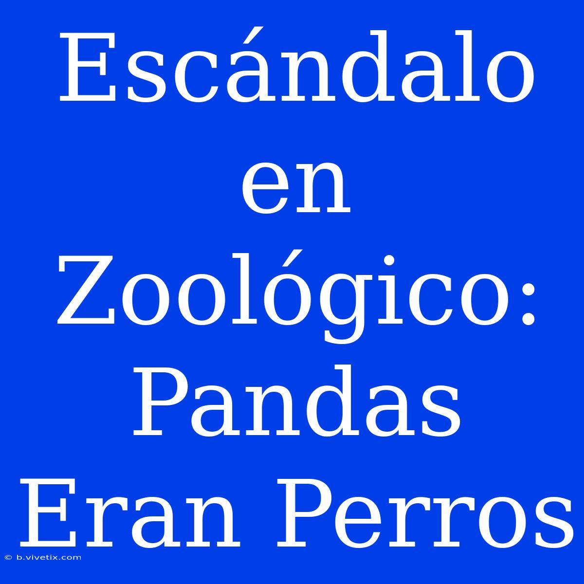 Escándalo En Zoológico: Pandas Eran Perros