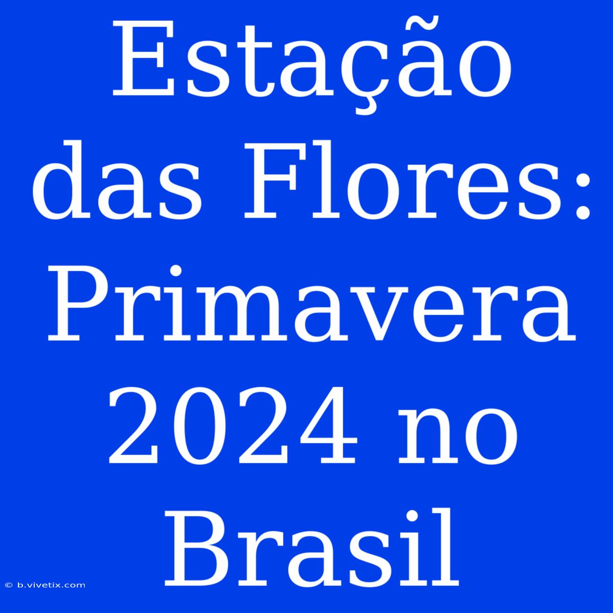 Estação Das Flores: Primavera 2024 No Brasil