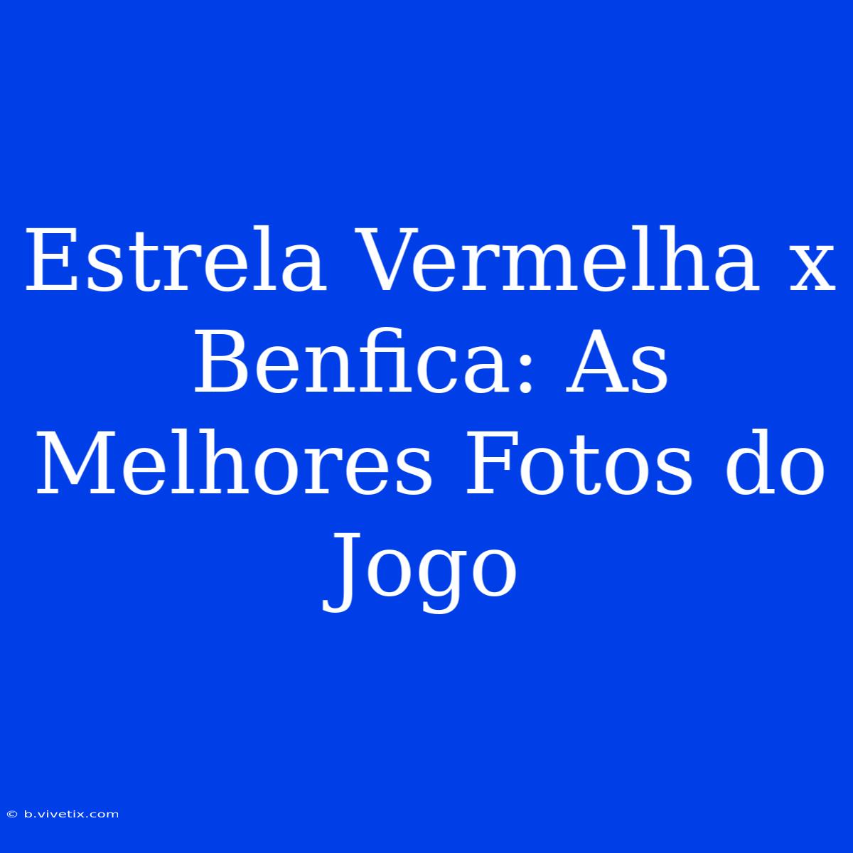 Estrela Vermelha X Benfica: As Melhores Fotos Do Jogo