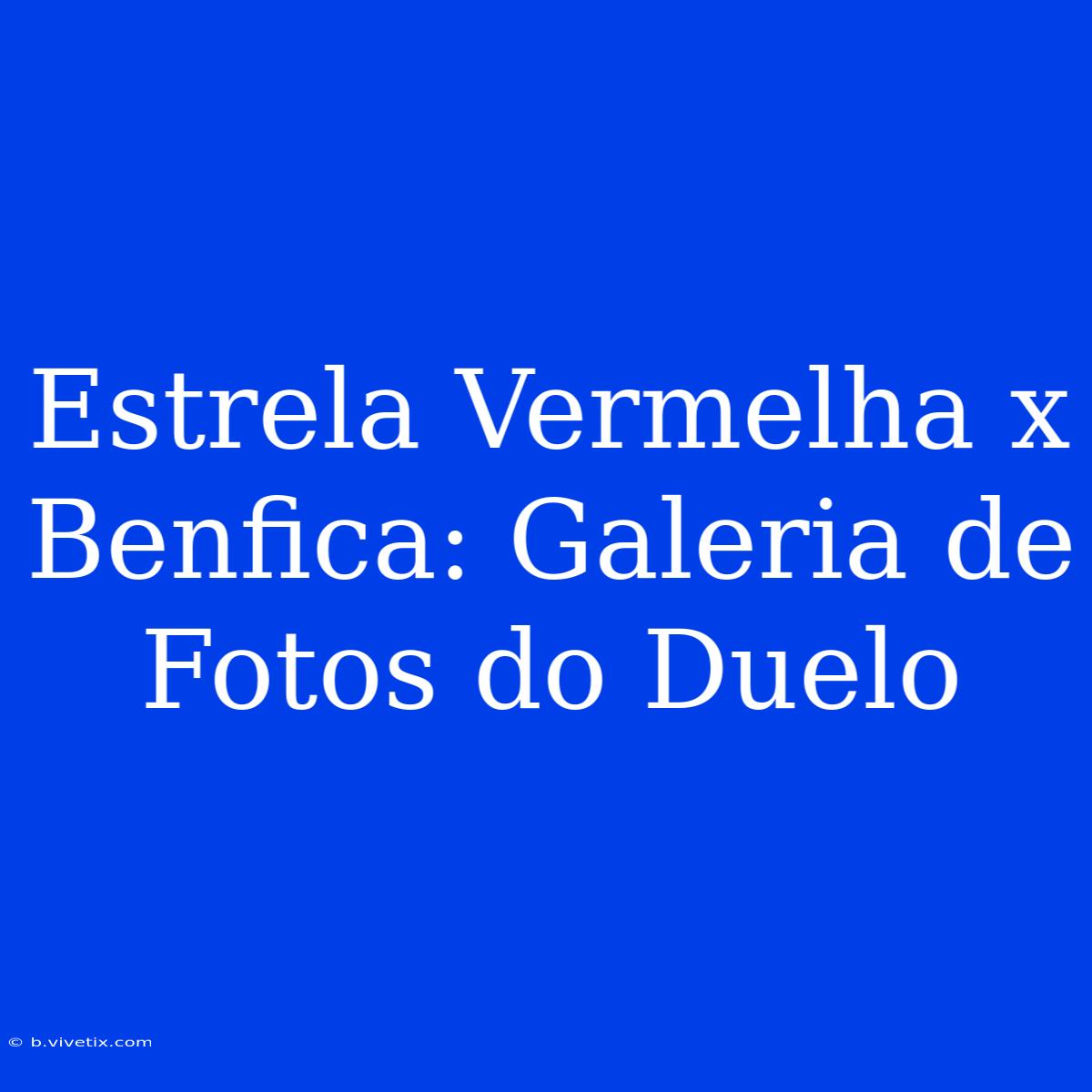 Estrela Vermelha X Benfica: Galeria De Fotos Do Duelo