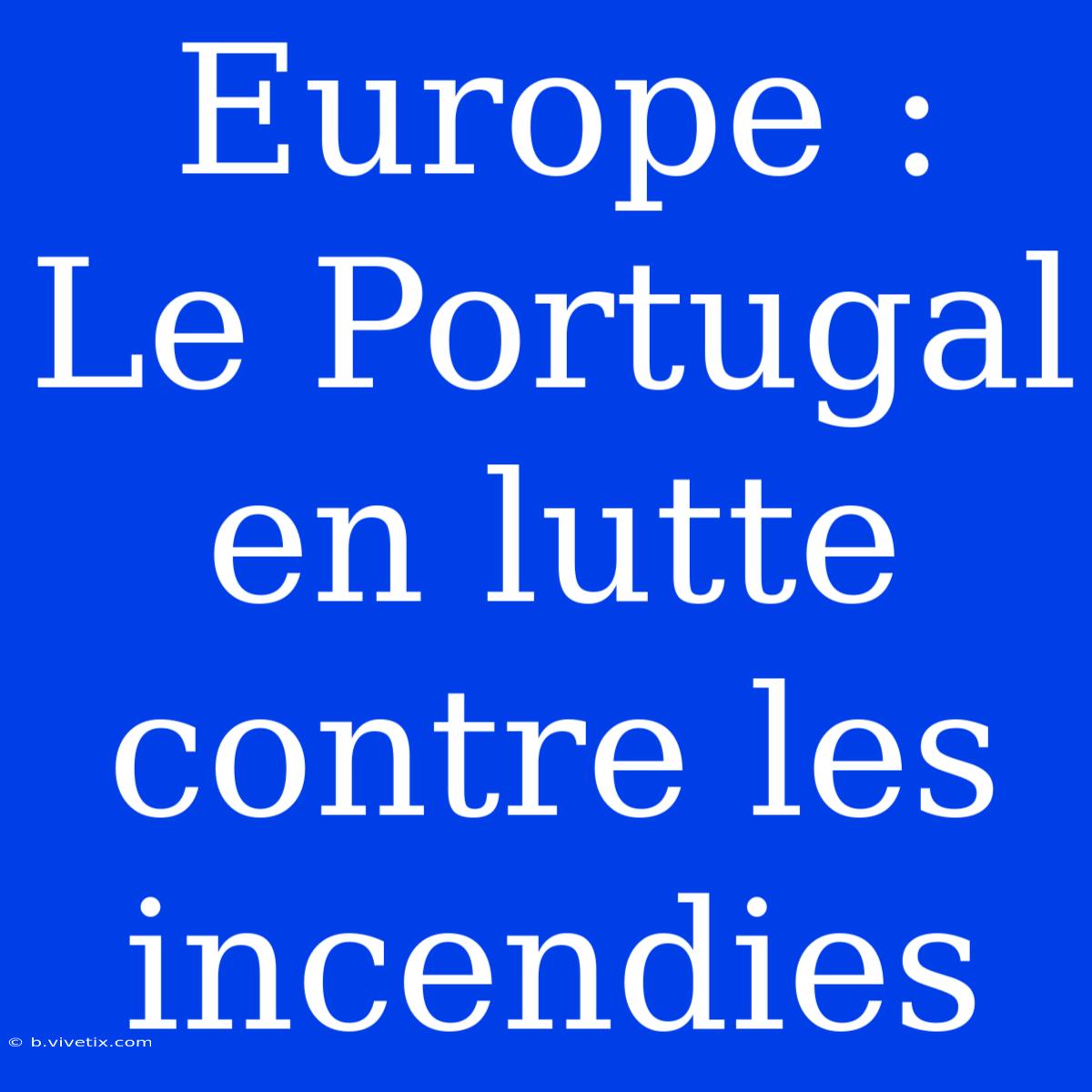 Europe : Le Portugal En Lutte Contre Les Incendies