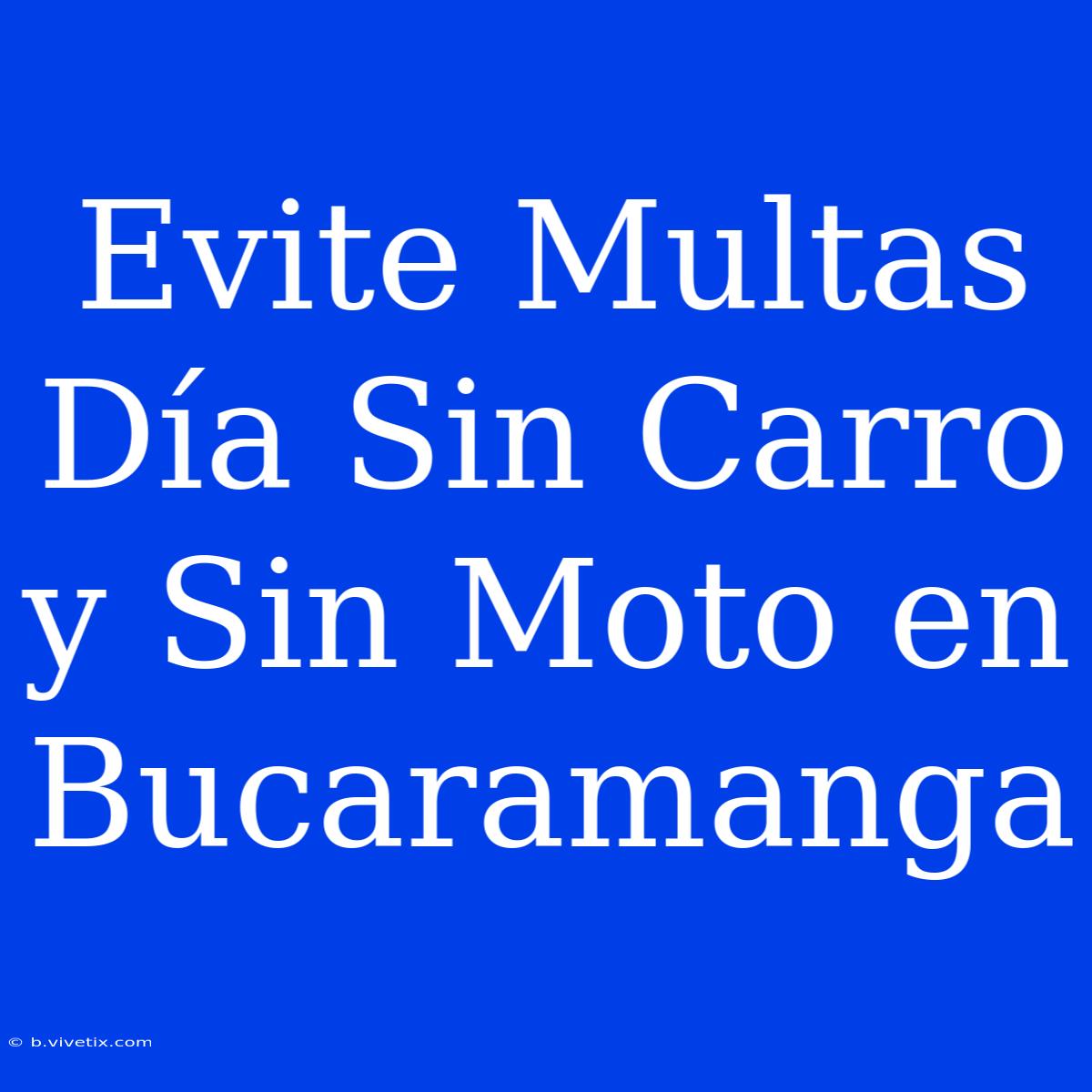 Evite Multas Día Sin Carro Y Sin Moto En Bucaramanga