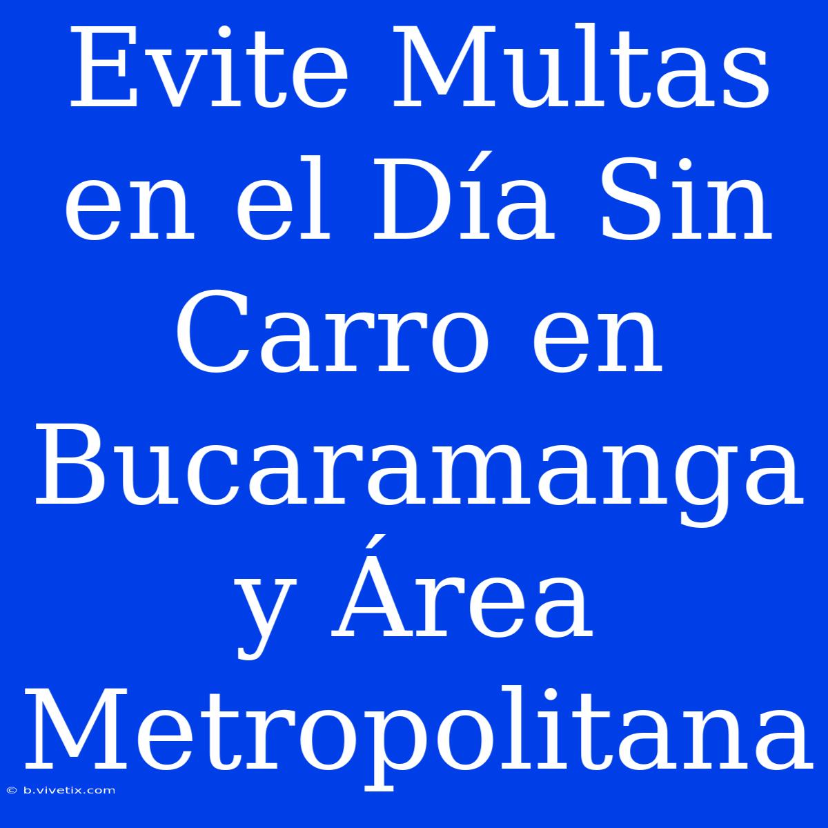 Evite Multas En El Día Sin Carro En Bucaramanga Y Área Metropolitana 