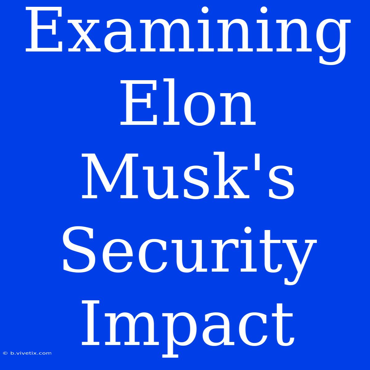 Examining Elon Musk's Security Impact