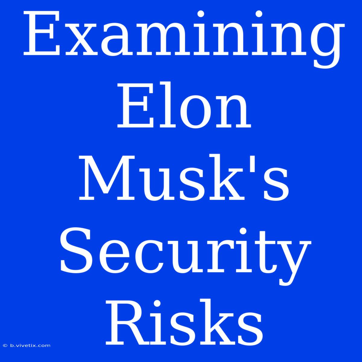 Examining Elon Musk's Security Risks