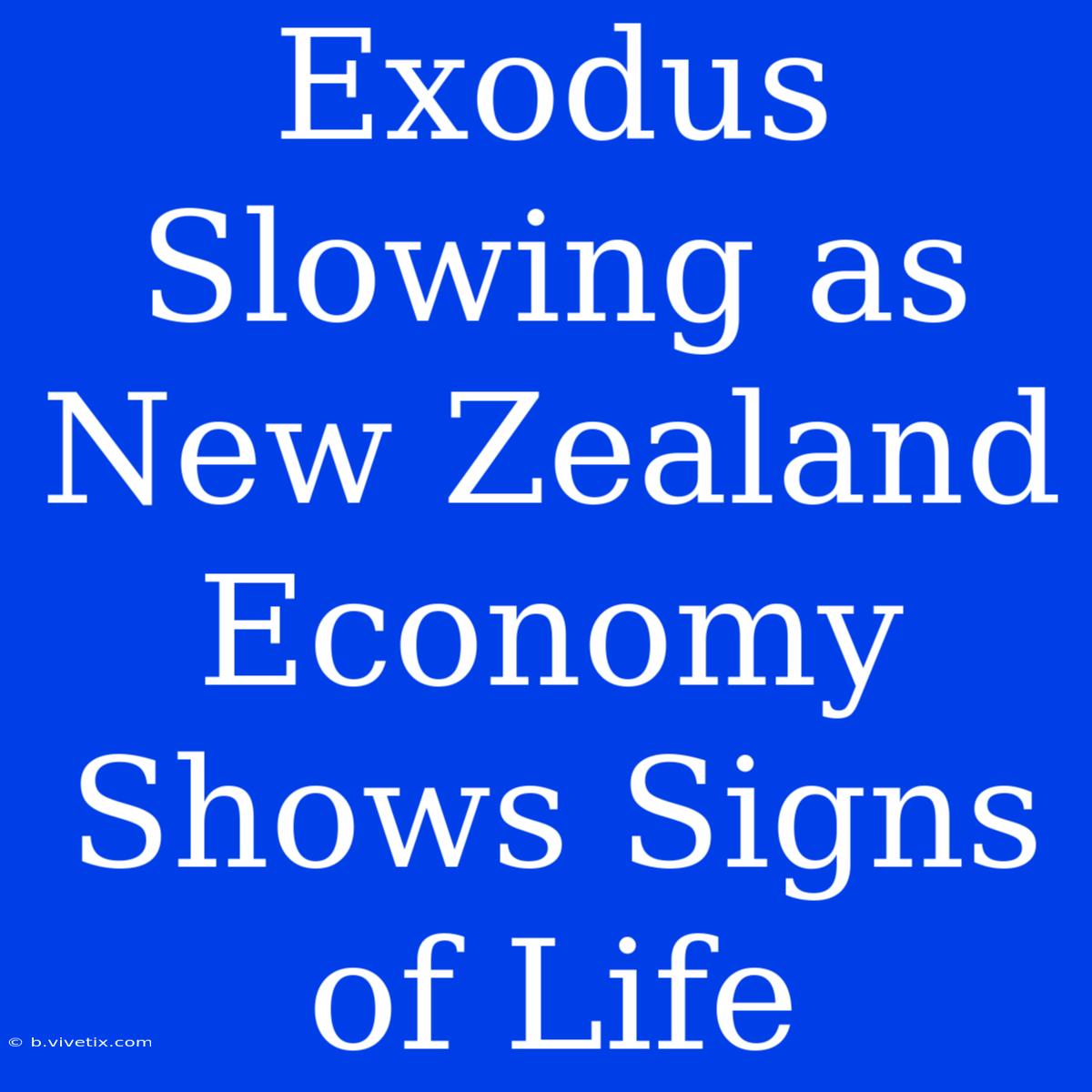 Exodus Slowing As New Zealand Economy Shows Signs Of Life