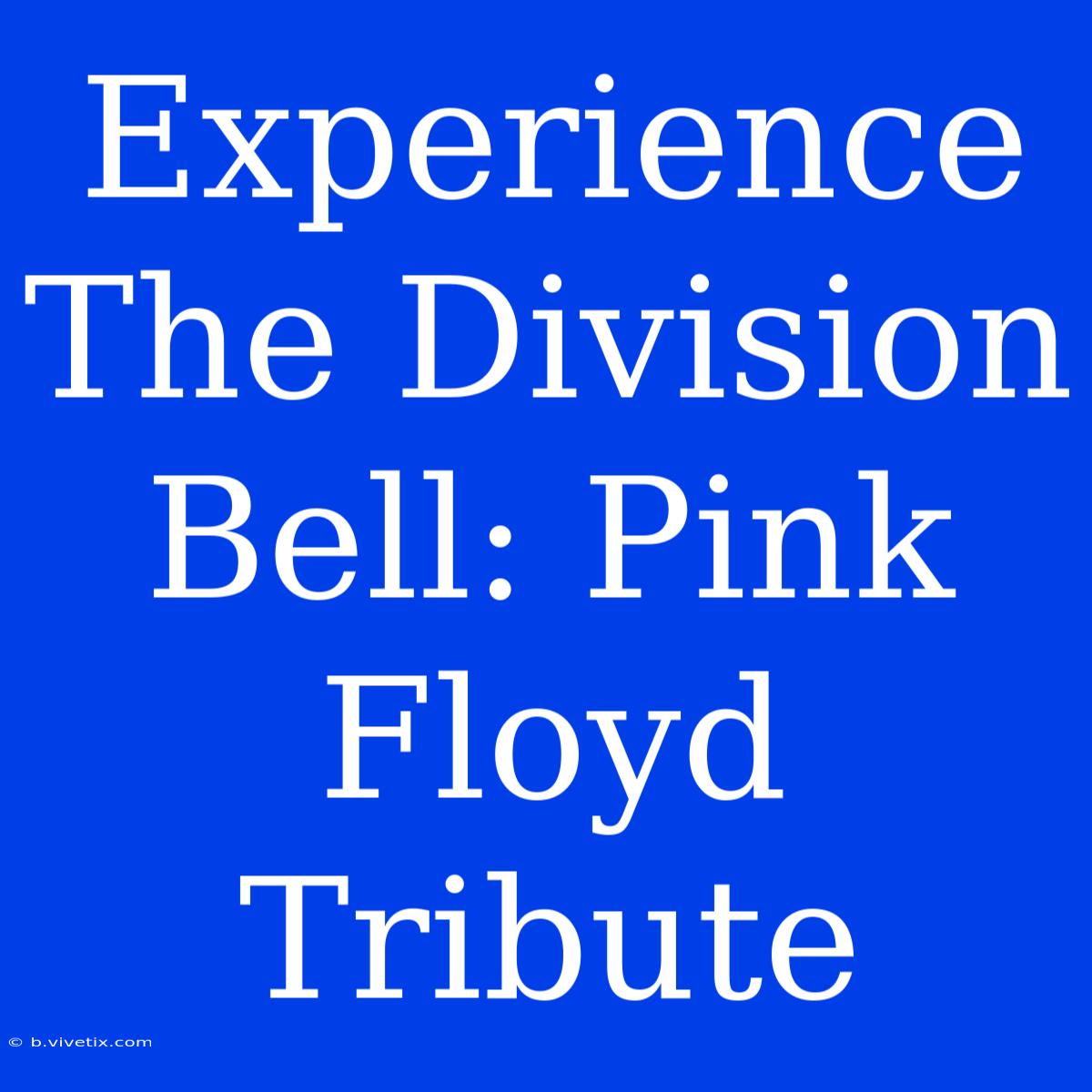 Experience The Division Bell: Pink Floyd Tribute