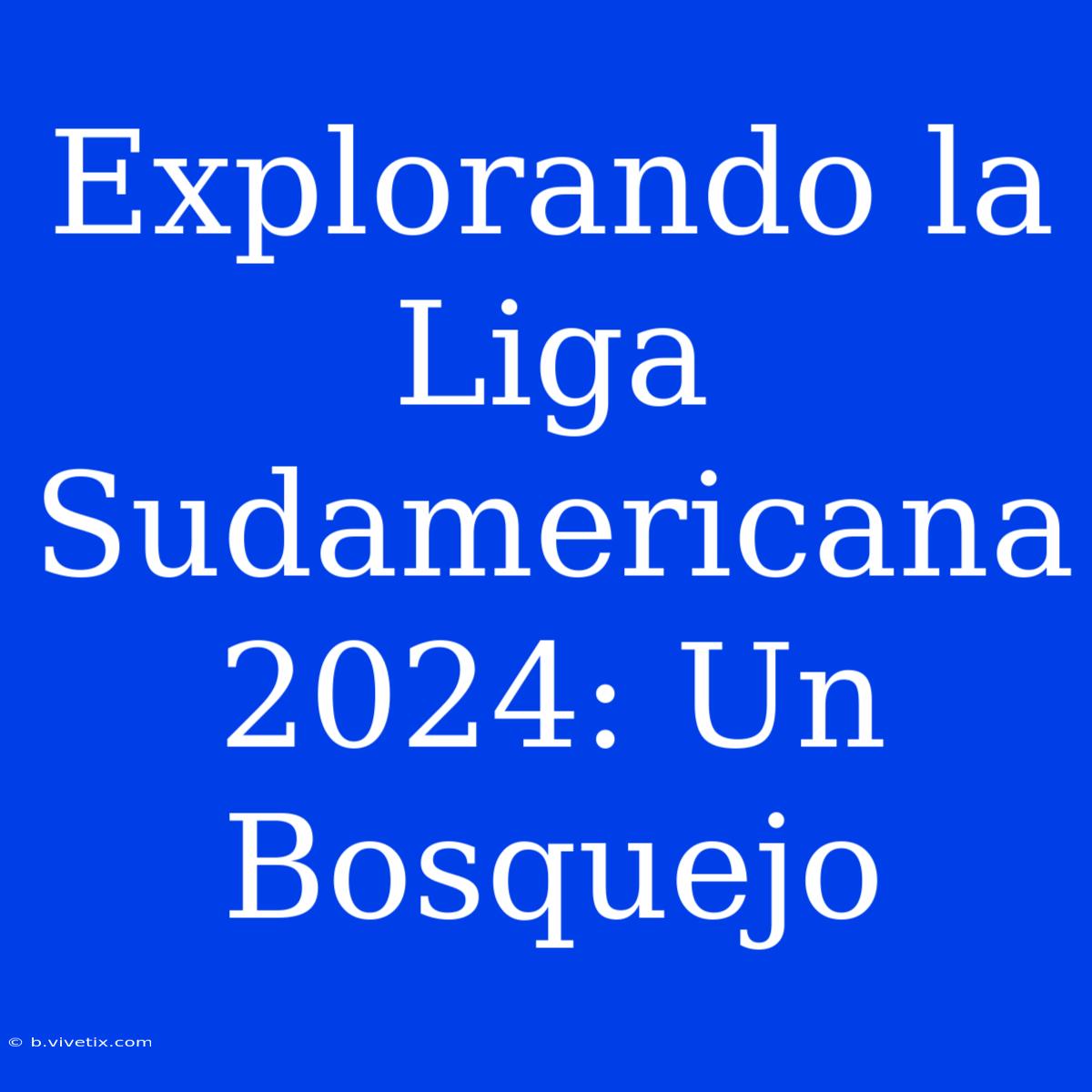 Explorando La Liga Sudamericana 2024: Un Bosquejo