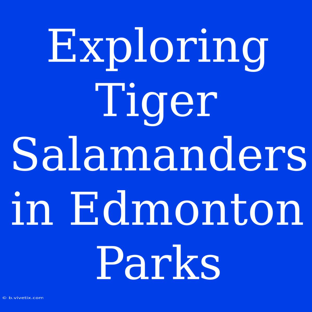 Exploring Tiger Salamanders In Edmonton Parks