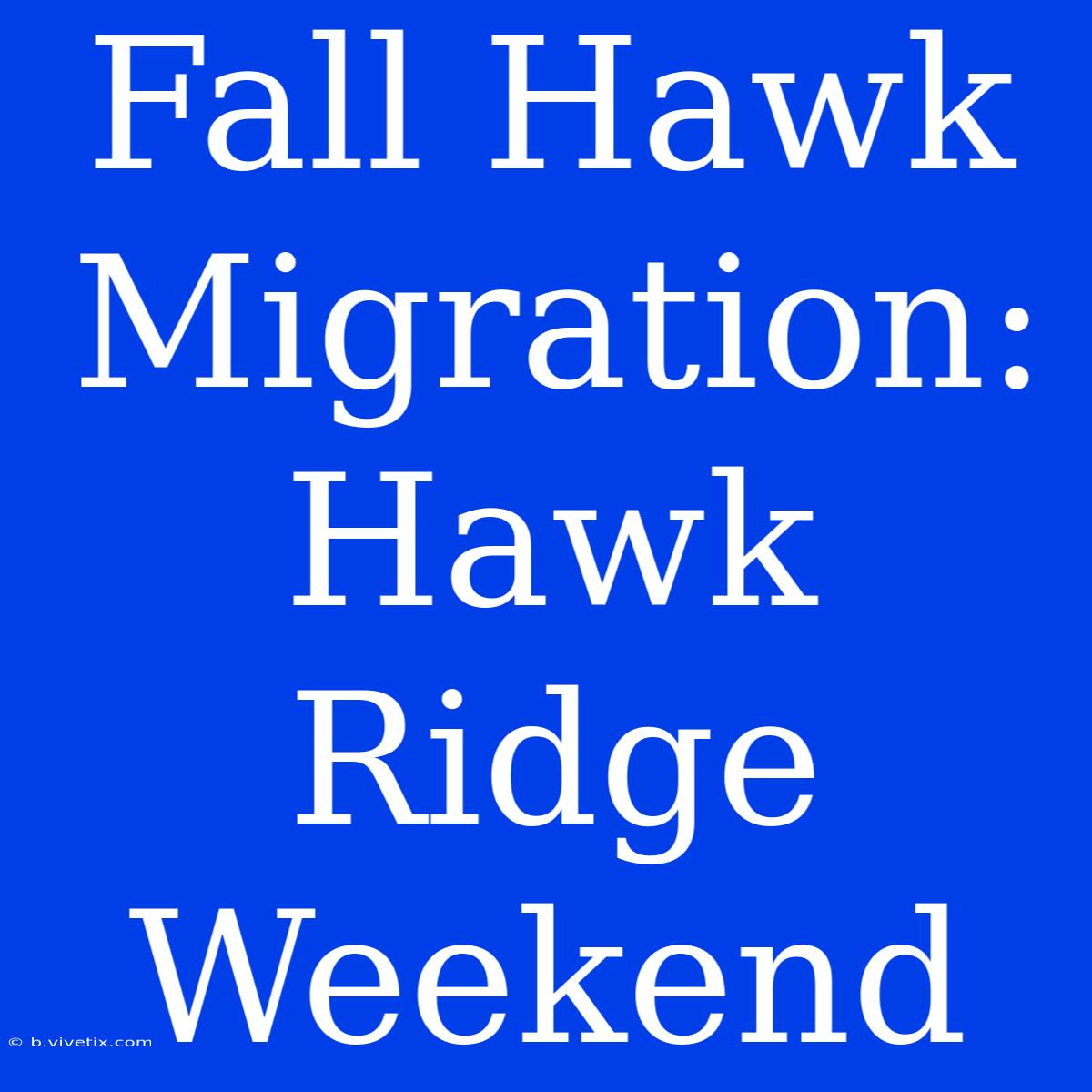 Fall Hawk Migration: Hawk Ridge Weekend