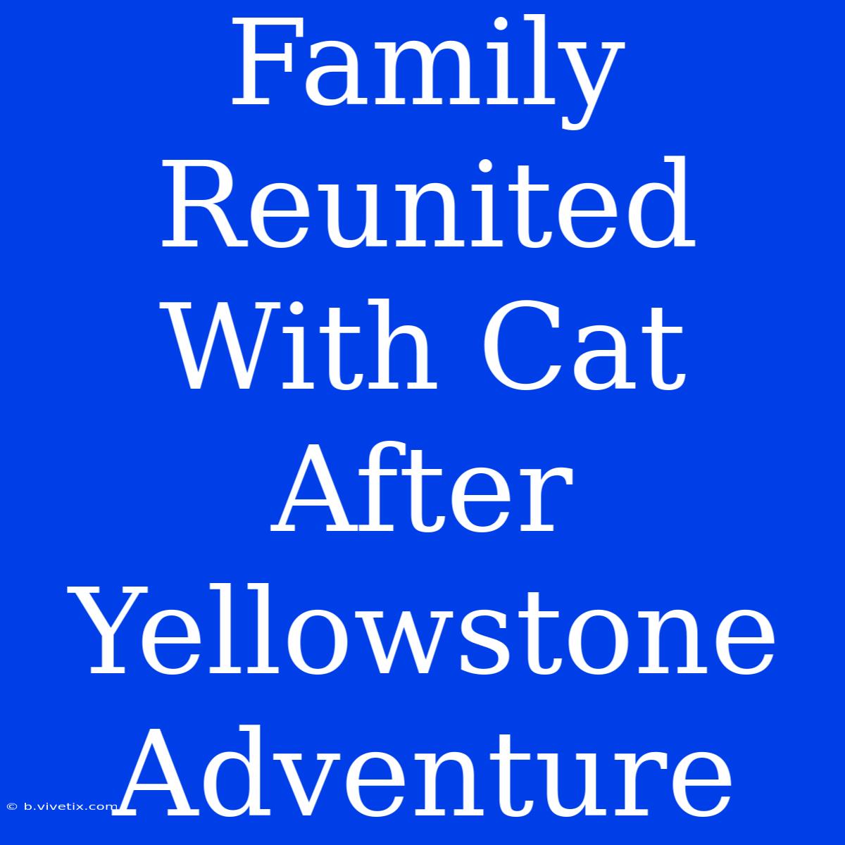 Family Reunited With Cat After Yellowstone Adventure