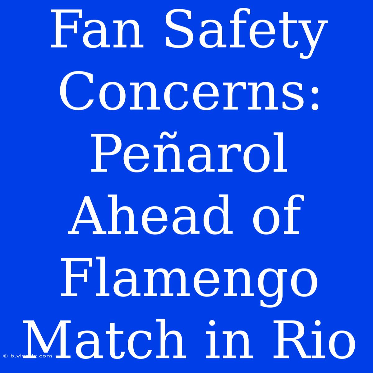 Fan Safety Concerns: Peñarol Ahead Of Flamengo Match In Rio