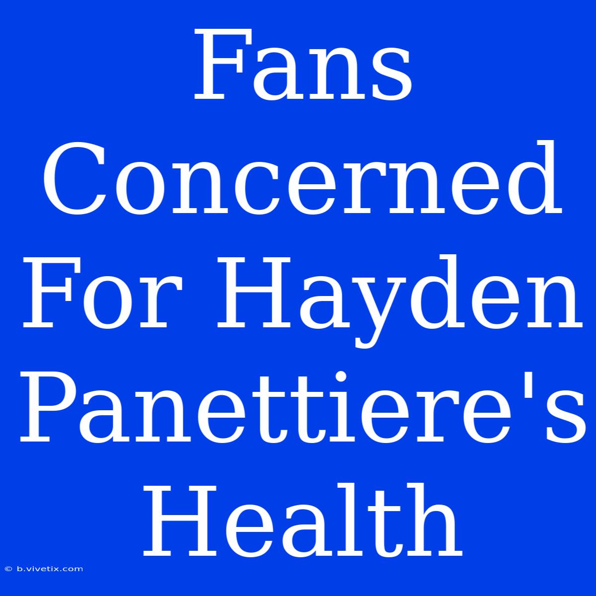 Fans Concerned For Hayden Panettiere's Health