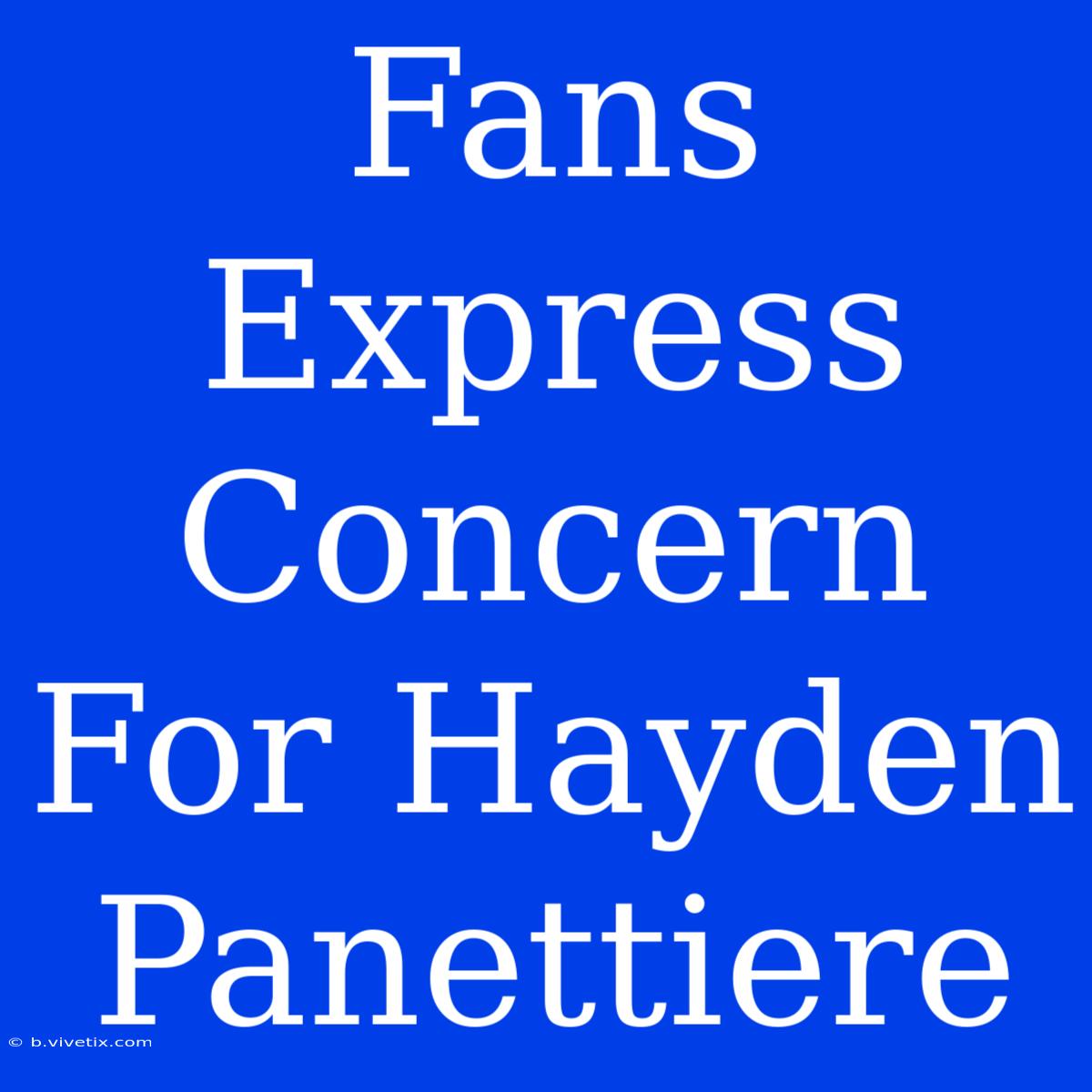 Fans Express Concern For Hayden Panettiere