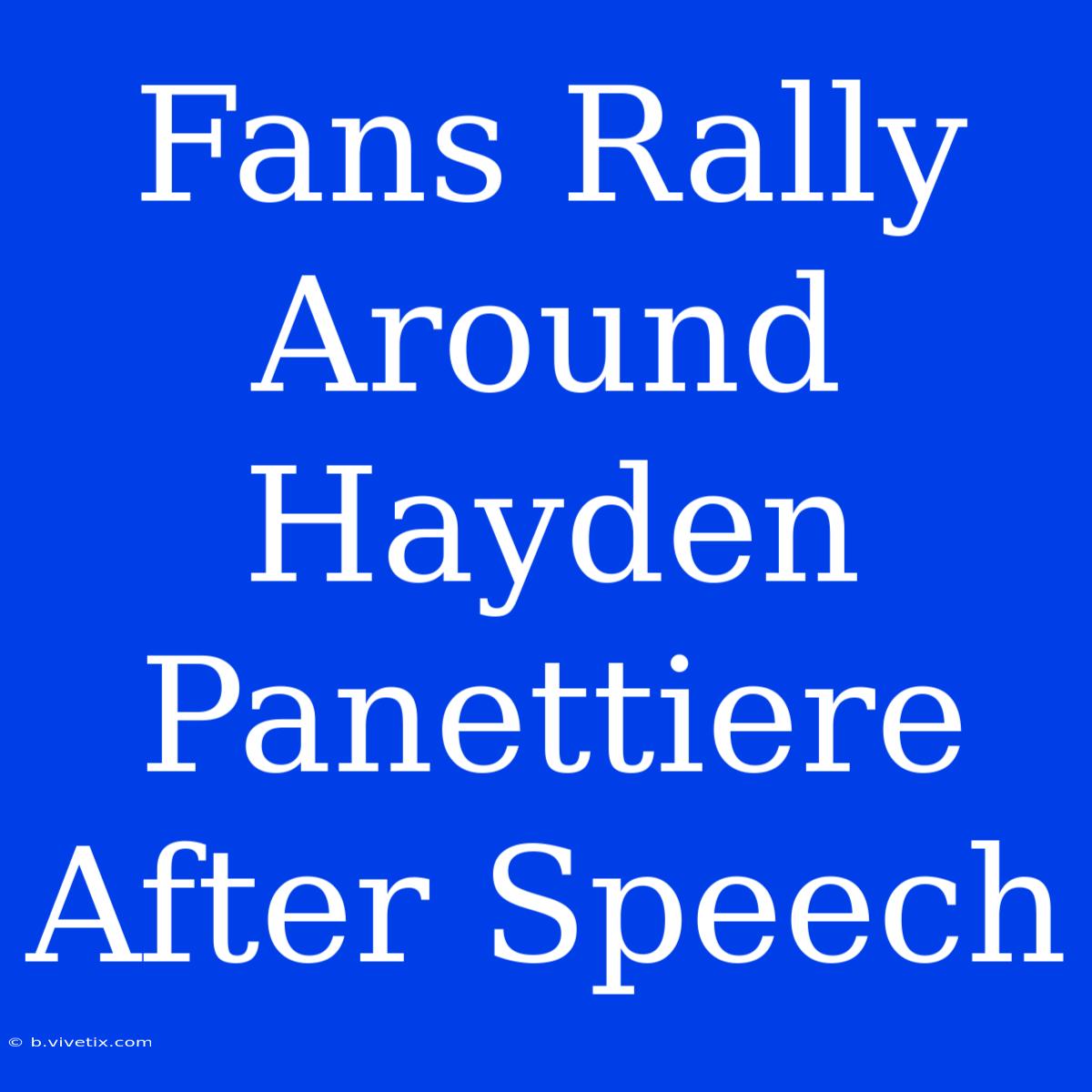 Fans Rally Around Hayden Panettiere After Speech