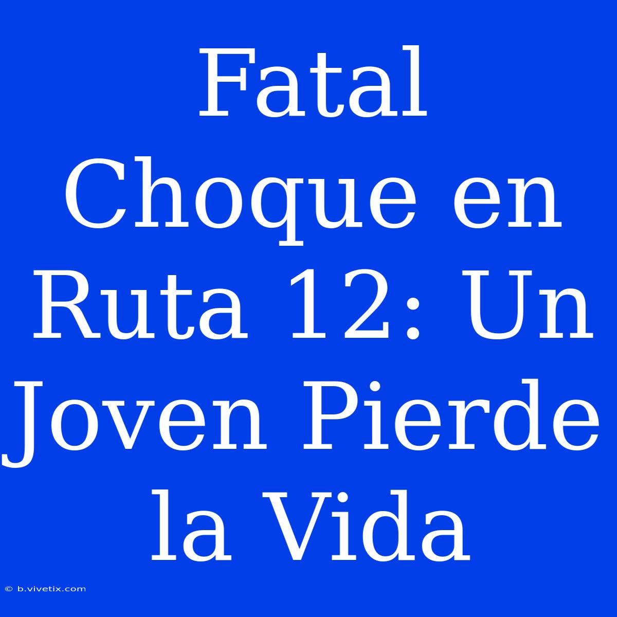 Fatal Choque En Ruta 12: Un Joven Pierde La Vida