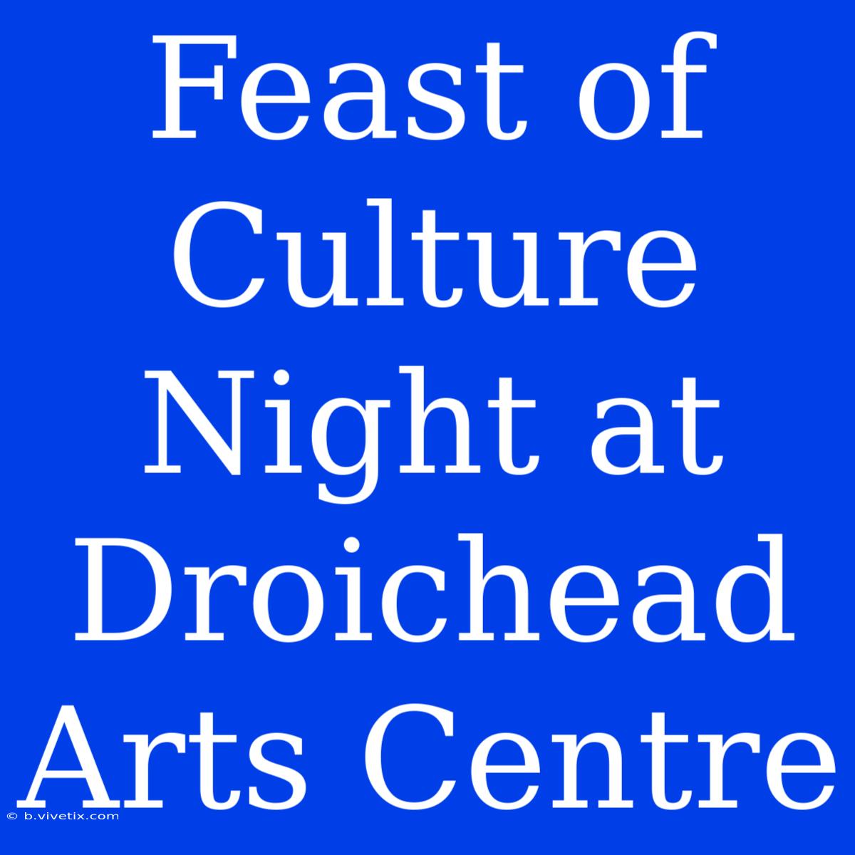 Feast Of Culture Night At Droichead Arts Centre