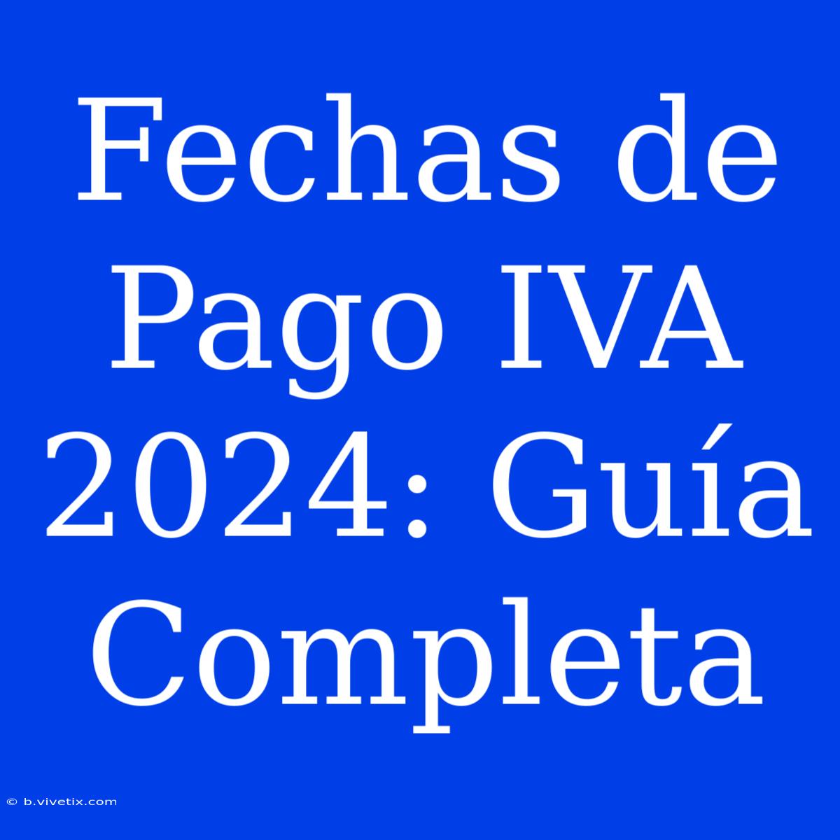 Fechas De Pago IVA 2024: Guía Completa