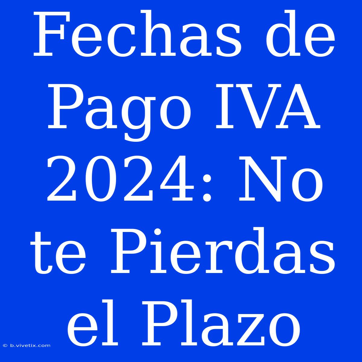 Fechas De Pago IVA 2024: No Te Pierdas El Plazo