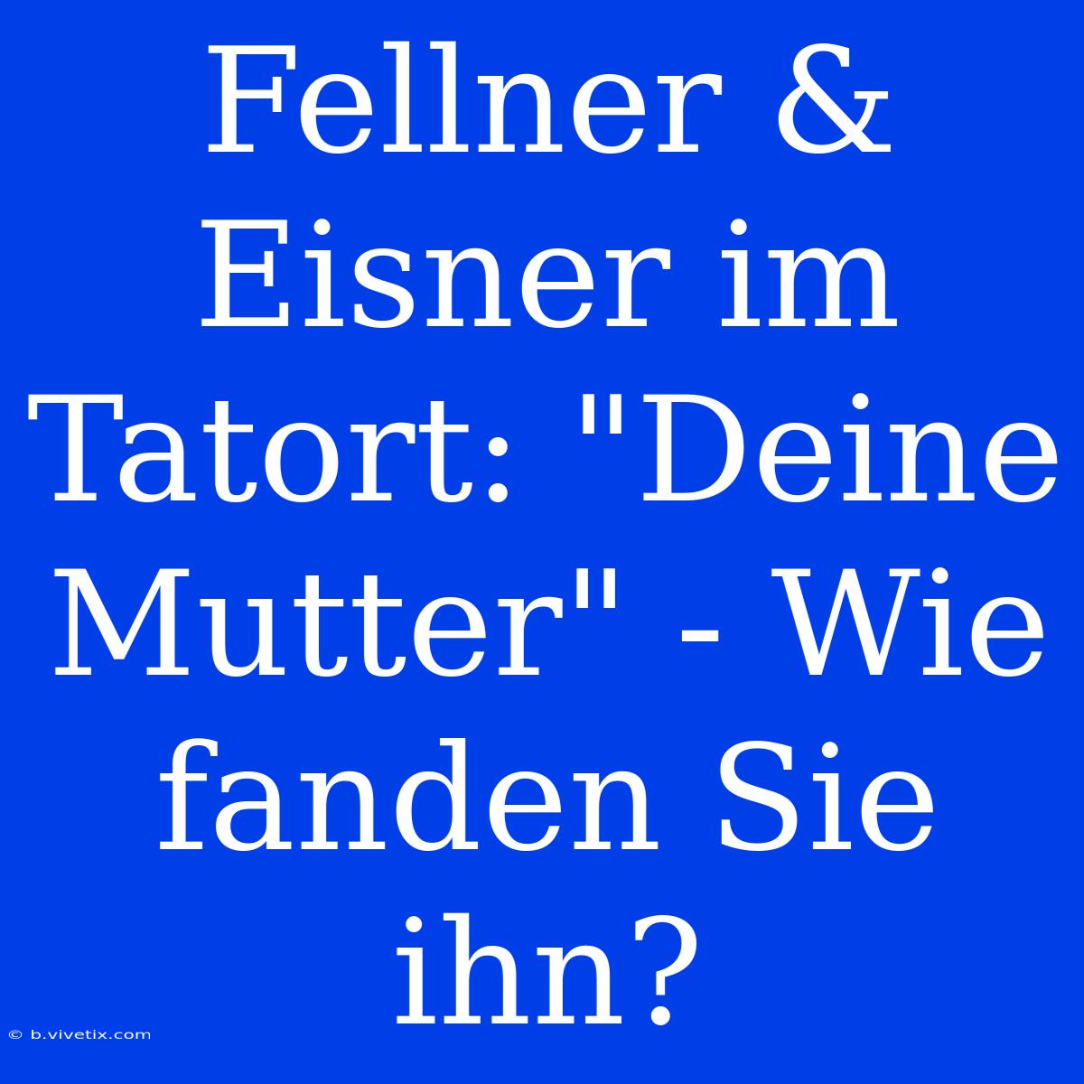 Fellner & Eisner Im Tatort: 